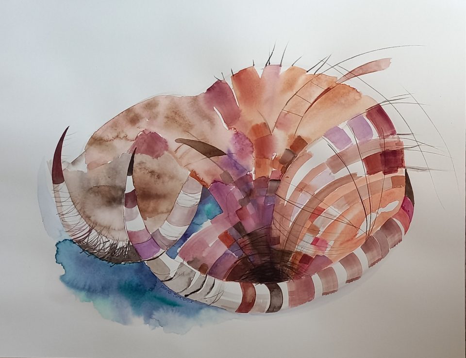 Potwór jeszcze śpi 45x60